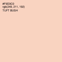 #F9D3C0 - Tuft Bush Color Image